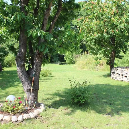 Alt-berliner Schwanenhof - *