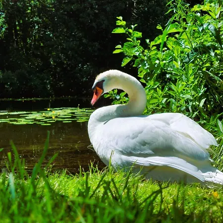 Alt-berliner Schwanenhof - Διαμέρισμα Lychen