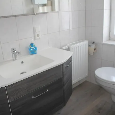 Alt-berliner Schwanenhof - *
