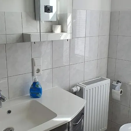 Alt-berliner Schwanenhof - *