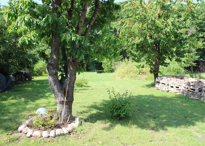 Alt-berliner Schwanenhof - *