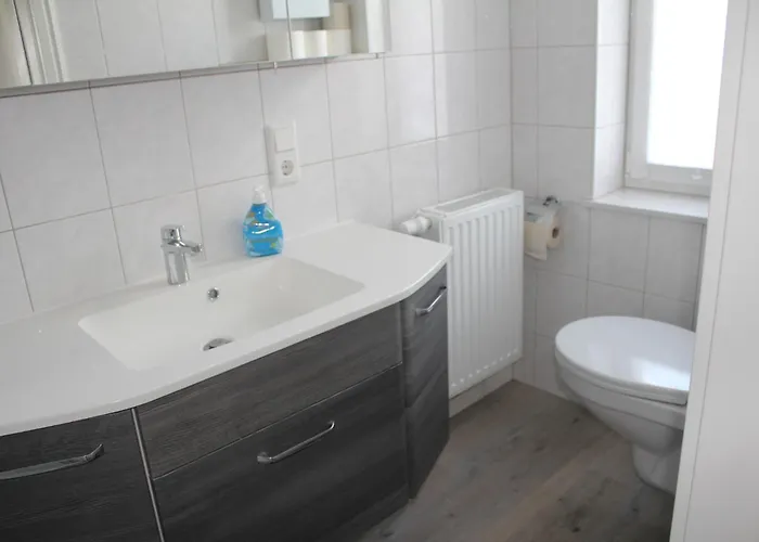 Alt-berliner Schwanenhof - *