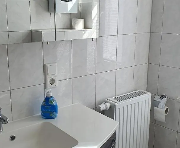 Alt-berliner Schwanenhof - *