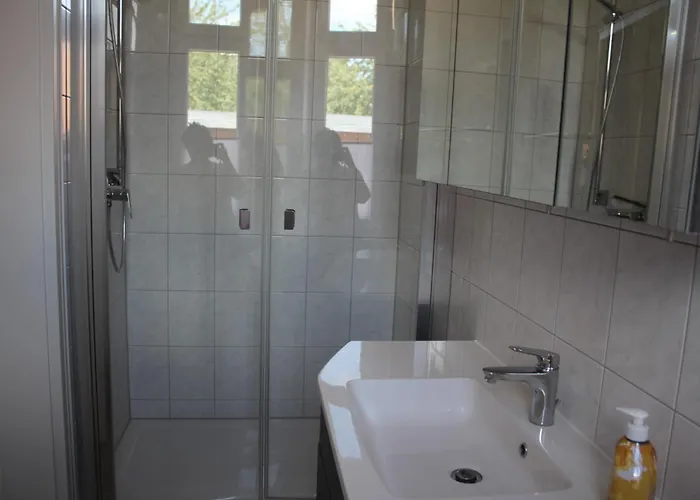 Alt-berliner Schwanenhof -